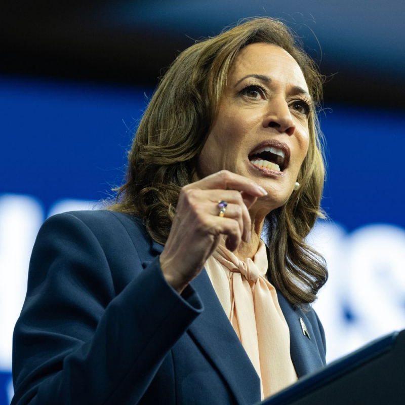 Vice President Kamala Harris speaks